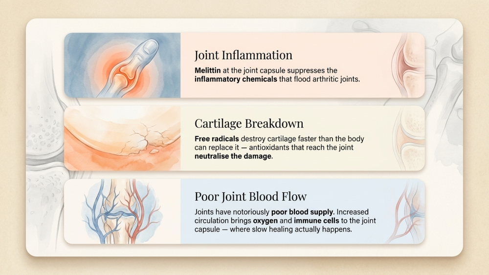 Magnesium Was Never Going to Fix This. Here's Why.